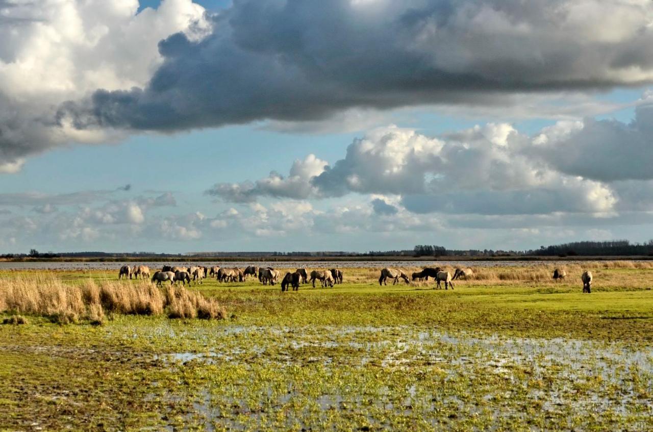 Siblu Camping Lauwersoog Eksteriør billede